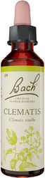 Bach Original Flower Remedies Clematis 20ml