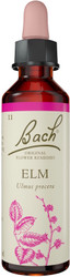 Bach Original Flower Remedies Elm 20ml