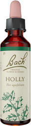 Bach Original Flower Remedies Holly 20ml