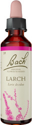 Bach Original Flower Remedies Larch 20ml