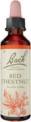 Bach Original Flower Remedies Red Chestnut 20ml