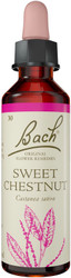 Bach Original Flower Remedies Sweet Chestnut 20ml