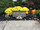 PERSONALIZE THIS SIGN - ACORN CABIN

This sign is beautiful.  It comes with (optional) top trim, gold border, text, and sculpted acorns and oak leaves. 