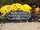 WEDDING and/or ANNIVERSARY SIGN

A sign that is perfect for weddings & anniversaries. Each sign is personalized with first names, last name and wedding date. The standard color is black background with white text. It comes with rear saw tooth hangers for easy installation.