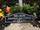 WEDDING and/or ANNIVERSARY SIGN

A sign that is perfect for weddings & anniversaries. Each sign is personalized with first names, last name and wedding date. The standard color is black background with white text. It comes with rear saw tooth hangers for easy installation.