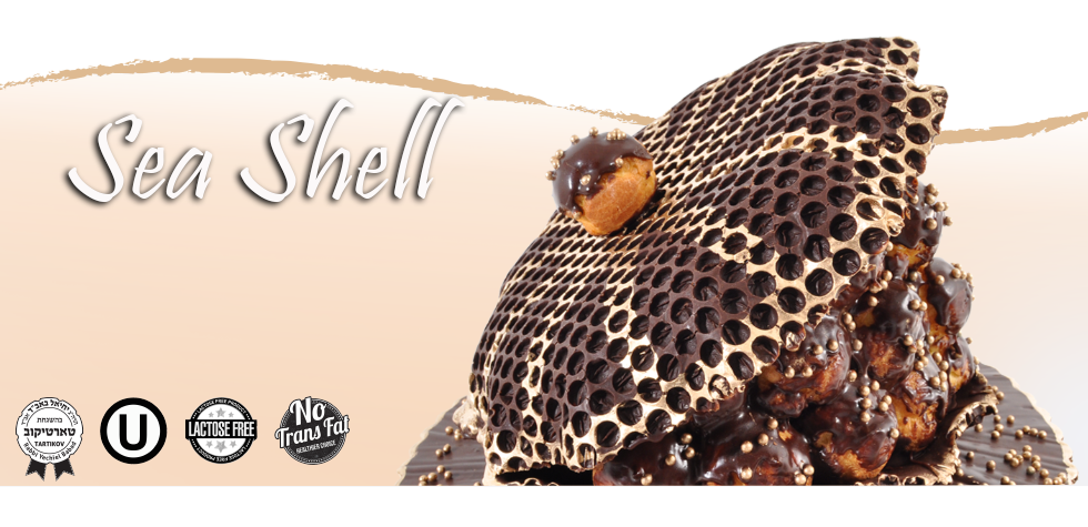 banner-seashell-2.png