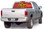 FLM-908 Terminator - Rear Window Graphic for Trucks and SUV's (FLM-908)