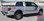 FORCE TWO SCREEN : 2009-2014 and 2015 2016 2017 2018 2019 2020 Ford F-150 Hockey Stripe "Appearance Package Style" Vinyl Graphics Decals Kit (VGP-1973.3517)