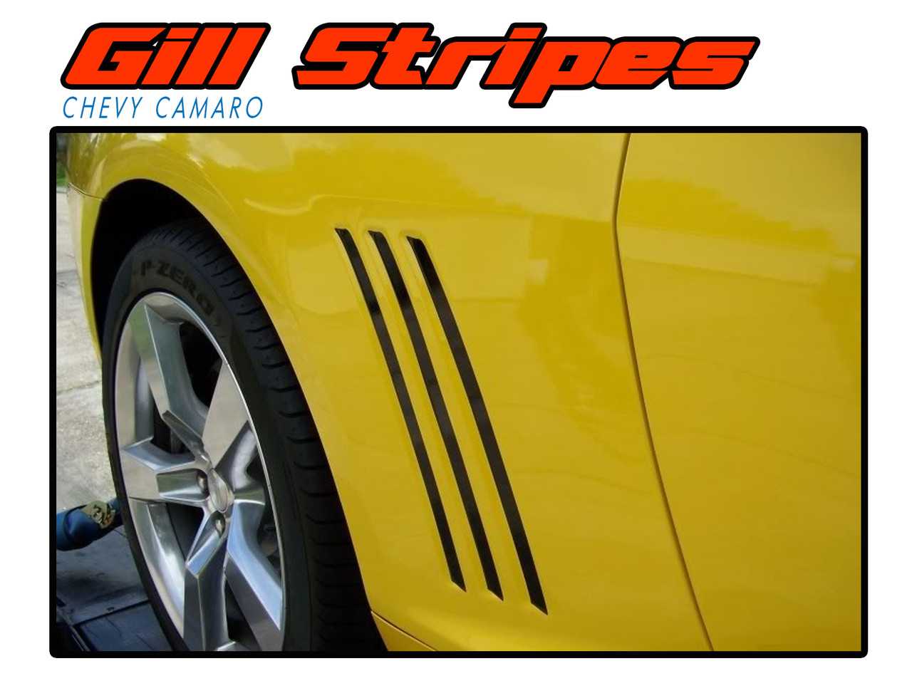 Gill Stripes Camaro Stripes Camaro Decals Camaro Vinyl Graphics