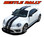 BEETLE RALLY : Volkswagen Beetle Complete Bumper to Bumper Rally Racing Stripes Vinyl Graphic Decal Kit (VGP-3041.2.3)
