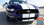 STALLION : 2015 2016 2017 Ford Mustang Lemans Style 10" Wide Racing Rally Stripes Vinyl Graphics Kit (VGP-3218)