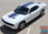 SHAKER : 2015 2016 2017 2018 2019 2020 2021 2022 2023 Dodge Challenger Factory OEM "Shaker Style" Hood Roof Trunk Vinyl Rally Stripes Kit