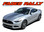 FADED RALLY : 2015-2017 Ford Mustang Hood OEM Style Racing Stripes Black Silver Fade Fading Striping Vinyl Graphic Decals Kit (VGP-4734.41)