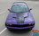 Blacktop Graphics for Challenger PULSE RALLY 3M 2008-2018 2019