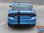 2017 Dodge Charger RT Decals Blacktop Package E RALLY 2015 2016 2017 2018 2019