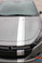 Dodge Dart Euro Stripes DARTING E RALLY 3M 2013 2014 2015 2016