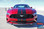 2018 Ford Mustang Convertible Center Racing Stripes STAGE RALLY