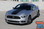 2016 Ford Mustang Wide Stripe Decals MEDIAN 2015 2016 2017 