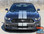 Ford Mustang Dual Racing Stripes STALLION SLIM 2015 2016 2017 
