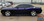 DUSTER : 2011-2023 Dodge Challenger Door Upper Stripe Accent Vinyl Graphics Decal Kit (VGP-8647)