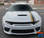 CRUSH RALLY : 2015-2023 Dodge Charger Rally Offset Vinyl Graphics Racing Stripe Decal Kit ( VGP-8784)