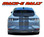 MUSTANG MACH-E RALLY : 2021-2024 Ford Mustang Electric Mach-E Racing Stripes Hood Decals Vinyl Graphics Kit