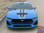 PREMIUM GT RALLY NEUTRAL : 2024-2026 Ford Mustang GT Racing Stripes Hood Decals Vinyl Graphics Kit (VGP-9310)