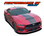 PERFORMANCE GT RALLY : 2024 2025 Ford Mustang GT Racing Stripes Hood Decals Roof Vinyl Graphics Kit (VGP-9359)