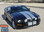 S-500 : 2005 2006 2007 2008 2009 Ford Mustang GT Lemans GT500 Style 10" Wide Vinyl Racing Stripe Rally Kit (VGP-1367.75)