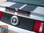 WILDSTANG 10 : 2010 2011 2012 Ford Mustang Hood Roof Trunk Racing Stripes Rally Vinyl Graphic Kit (VGP-1568)