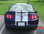 STAMPEDE : 2010 2011 2012 Ford Mustang OEM Style 10" Inch Wide Lemans Racing Stripes Rally Vinyl Graphics Kit (VGP-1491)