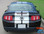 STAMPEDE : 2010 2011 2012 Ford Mustang OEM Style 10" Inch Wide Lemans Racing Stripes Rally Vinyl Graphics Kit (VGP-1491)
