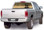 FSH-038 Fishing the Mist - Rear Window Graphic for Trucks and SUV's (FSH-038)