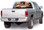 FSH-023 Trout Dream - Rear Window Graphic for Trucks and SUV's (FSH-023)