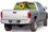 FLR-006 Flowers 6 - Rear Window Graphic for Trucks and SUV's (FLR-006)