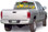 FLR-001 Flowers 1 - Rear Window Graphic for Trucks and SUV's (FLR-001)