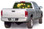 FLR-007 Flowers 7 - Rear Window Graphic for Trucks and SUV's (FLR-007)