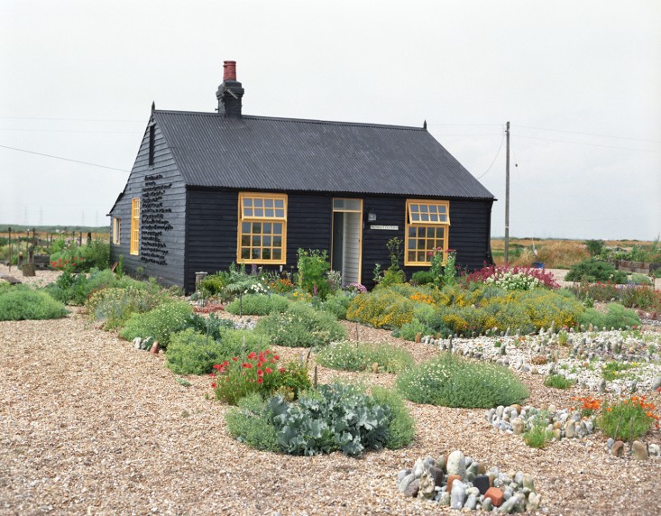 Black garden shed.