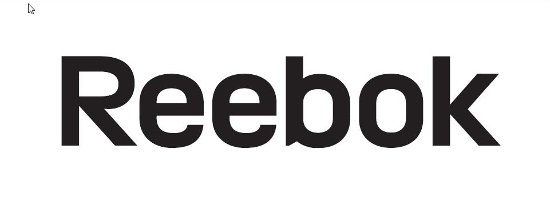 reebok-logo-landing.jpg