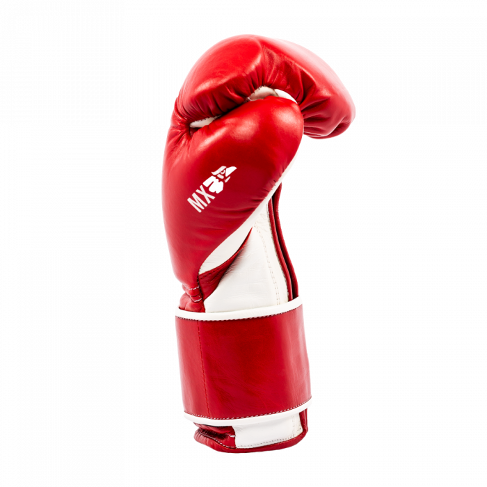 everlast mx training