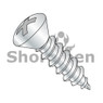 Phillips Oval Self Tapping Screw Type A B Fully Threaded