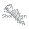 Phillips Oval Self Tapping Screw Type A B Number Six Head Fully Thread