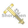 T Anchor
