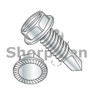Slotted Indented Hex Washer Serrated Self Drilling Screw Full Thread