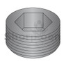 Dry Seal Socket Pipe Plug