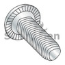 Phillips Pan Serrate Thread Roll Screw Full Thread