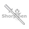 Closed End Stainless Steel Rivet Stainless Steel Mandrel