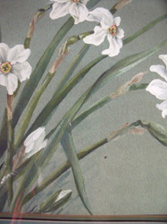 "Daffodils" 1894 Gouache/Watercolor Silver Framed By Cousin of William Chapman 