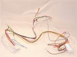 Carrier 305764-701 Wiring Harness