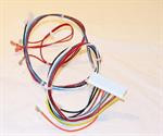 Carrier 317276-401 Wire Harness